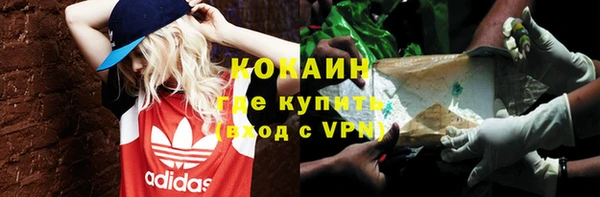 apvp Богородицк