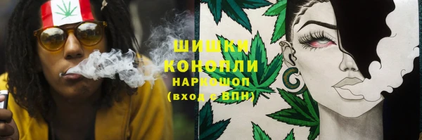 прущие крисы Бородино